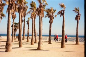 . לישראל יש חלון הזדמנויות היסטורי להפוך לגורם מוביל בשיקום אזורי,