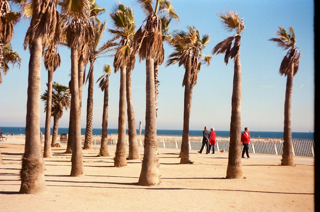 . לישראל יש חלון הזדמנויות היסטורי להפוך לגורם מוביל בשיקום אזורי,